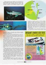 Award winning underwater photographer and children’s book Author, Troy Mayne from Oceanic Imagery in his Dive Column, Dive Magazines, and Magazine covers.