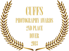 CUFFS AWARD BADGE 2013.png