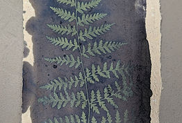 PXL_20260513_175818294.jpg