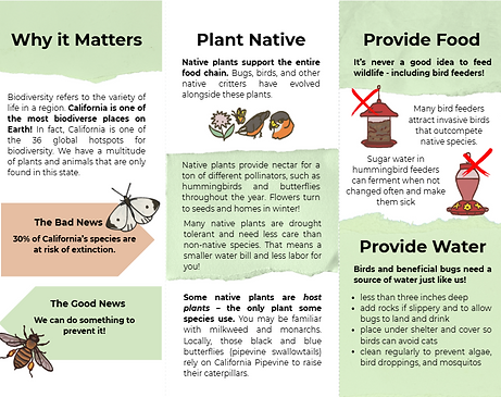 Screenshot 2025-09-02 132753.png