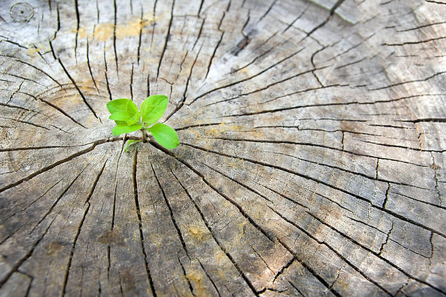 AdobeStock_121387678.jpeg
