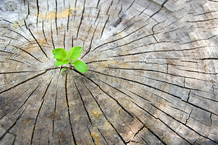 AdobeStock_121387678.jpeg