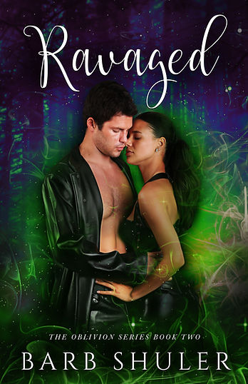Ravaged Barb Shuler - E-Cover (1).jpg