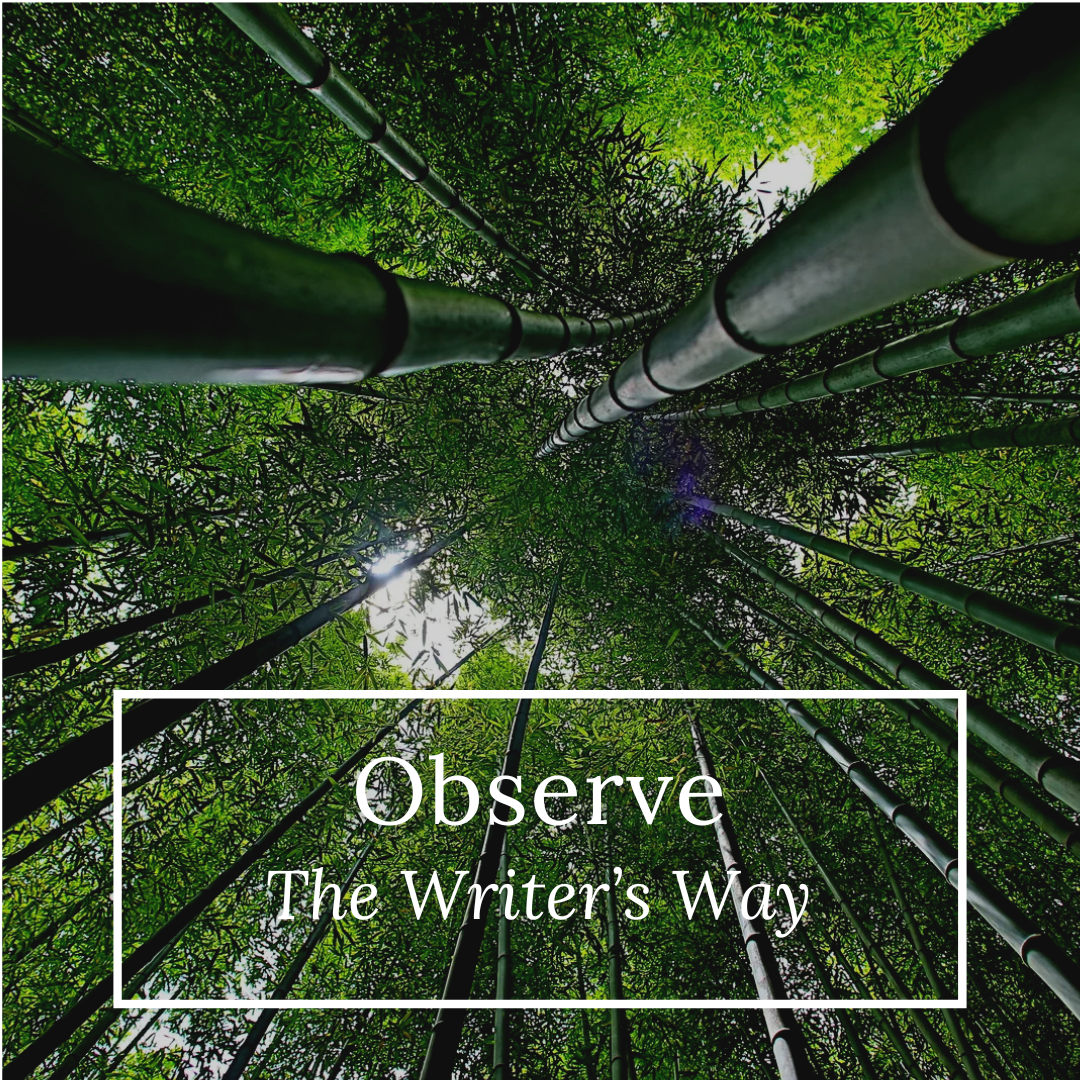 Writer's Eye The Power of Observation: Seeing the World Through a Writer’s Eyes