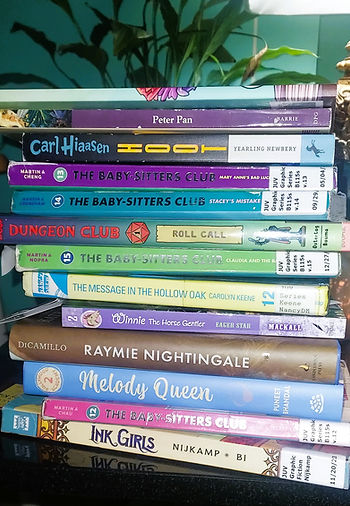 Current Stack of Books for Kindoll Academy