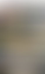 Mysterious deadly black fungus being found on fish in Pacific Northwest