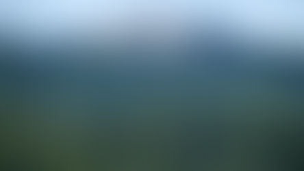 Austria hosts secretive Bilderberg conference, (that doesn't exist).