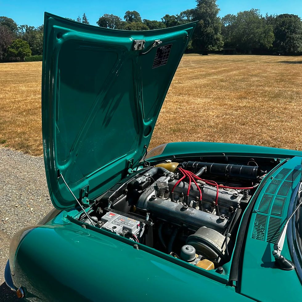 1969-Alfa-Romeo-Duetto-Spider-1750-20.jpeg