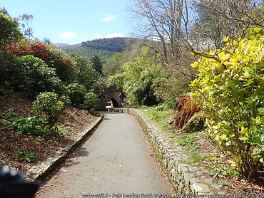 Tollymore Forest Park