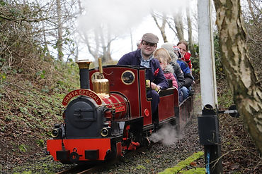 Belfast & County Down Minature Railway Society