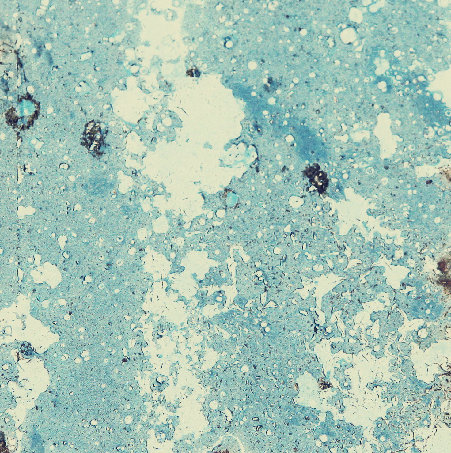 Osmosis Lab Report labnotebook