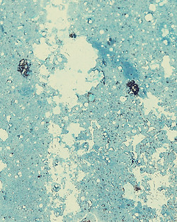 Closeup water droplets