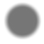 Schatten_edited_edited.png