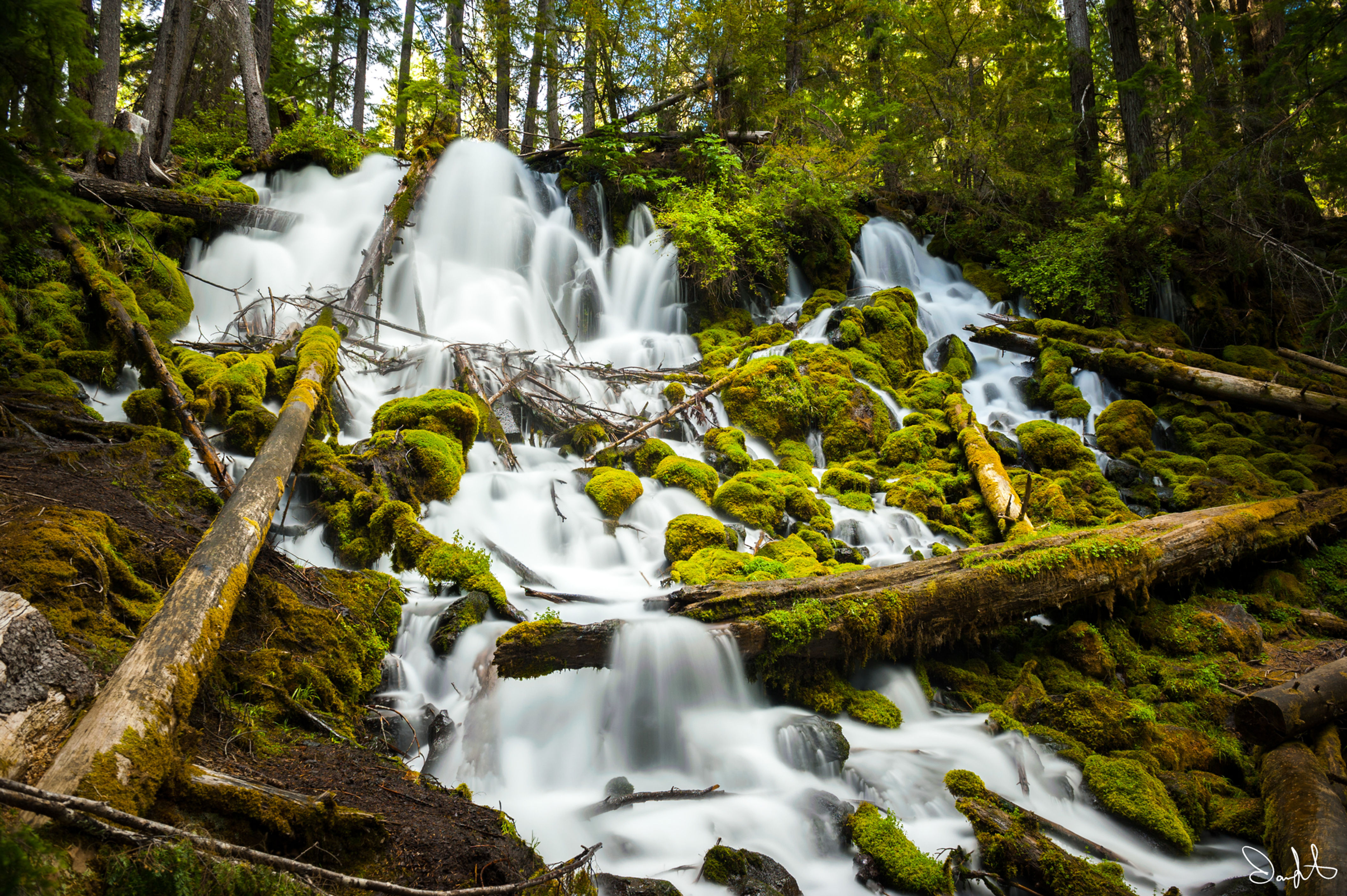 Clearwater Falls (18 x 24)