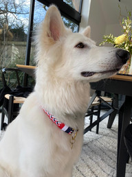 Collar anillas Cocacola