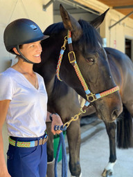 Cinturon y Cabezada HOPE