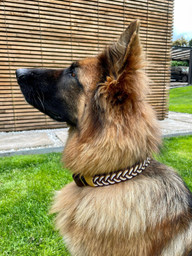 Collar Hebilla Nilo