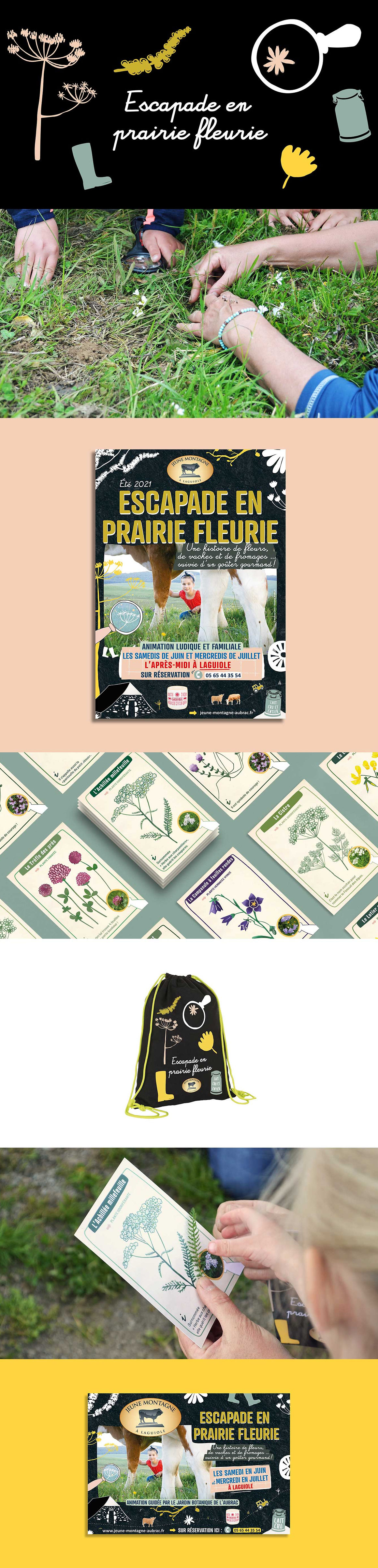 supports graphiques d'une animation sur l'aubrac escapade en prairie fleurie