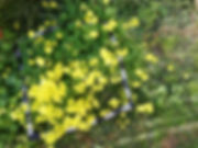 WhatsApp Image 2020-02-27 at 15.39.37.jp