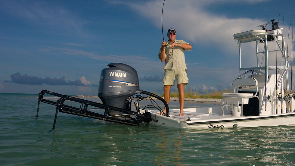 Miniatura: POWER -POLE BLADE 10 FTS