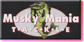 Miniatura: SQUIRRLEY BURT JERKBAIT 25 CMS