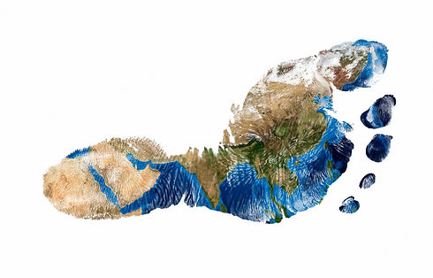 Footprint.jpeg
