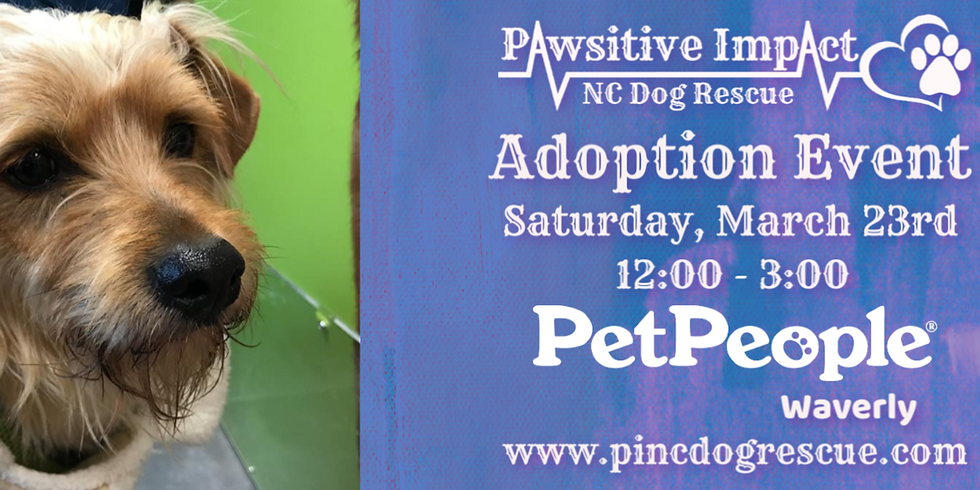 P.I.N.C. Adoption Event