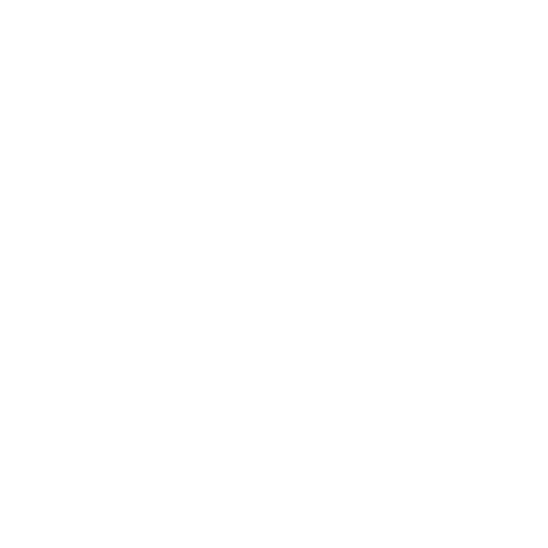 ZENSA (2).png