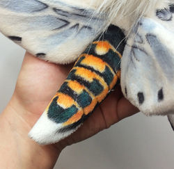 tumblr_nrh6omhbvI1qhahs1o2_1280