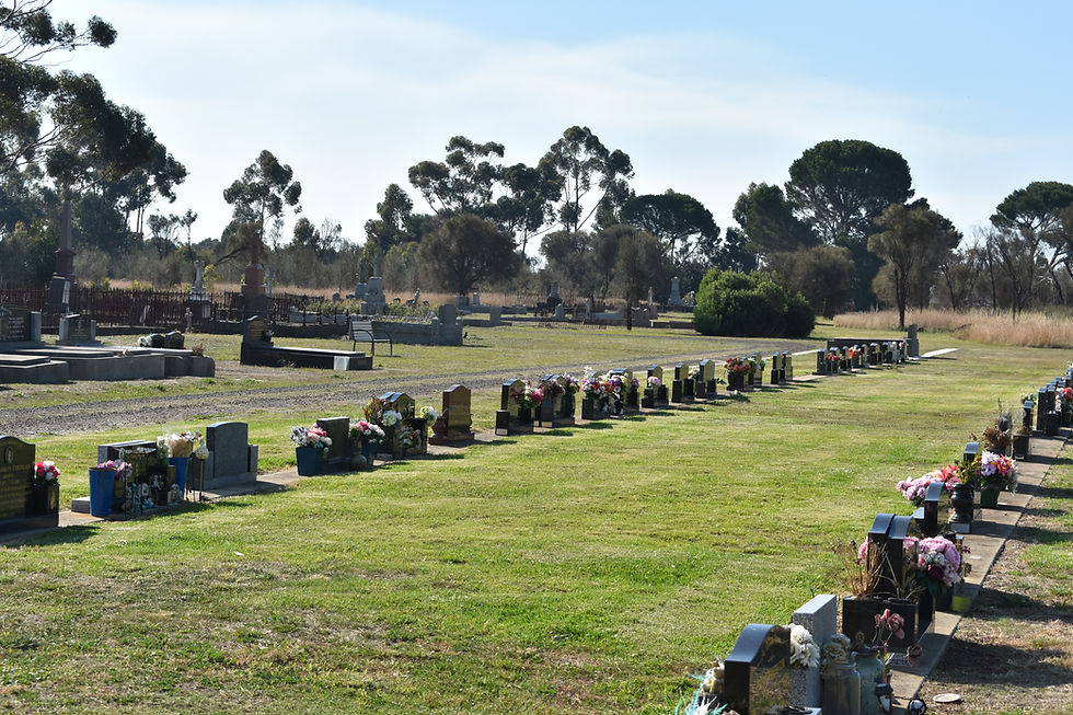 DSC_0113.JPG