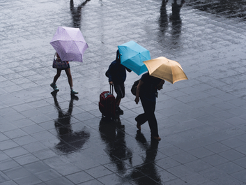 Does acid rain cause hair loss? - The effect of acid rain on us