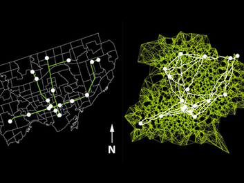 Nature's Blueprint: Slime Mould Inspires Transportation Efficiency
