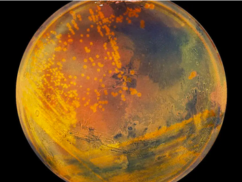 Conan the Bacterium