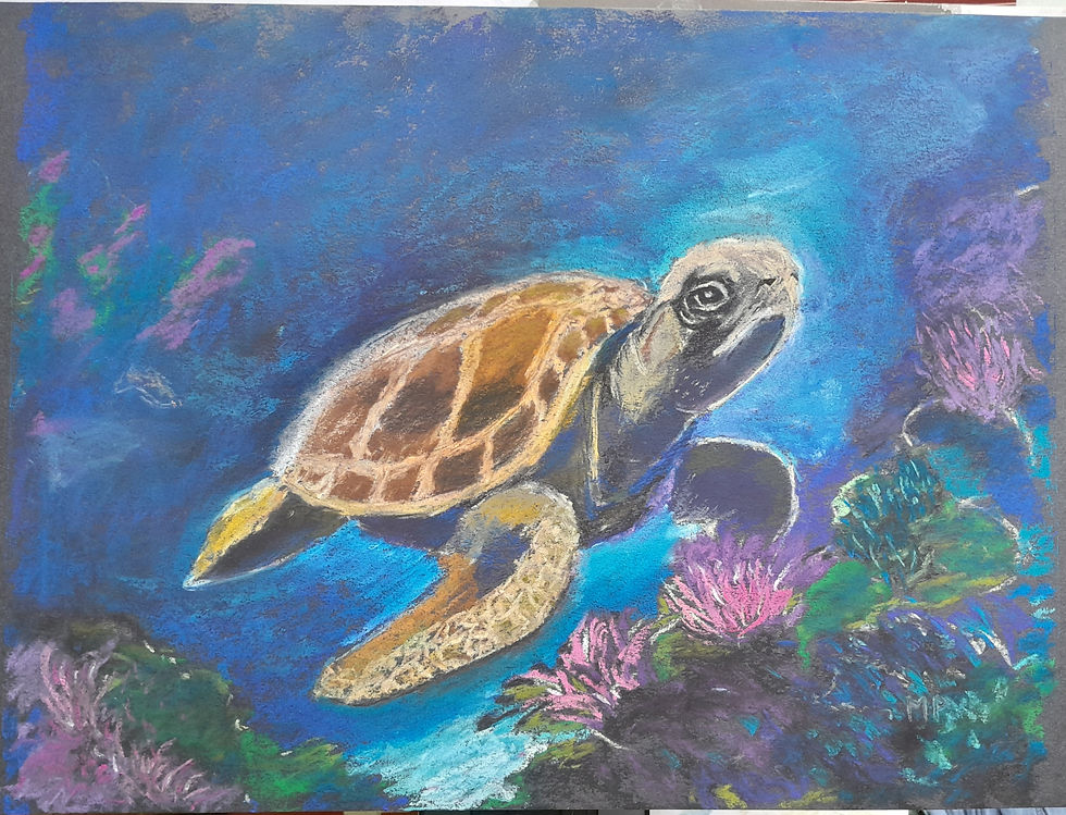 Seaturtle