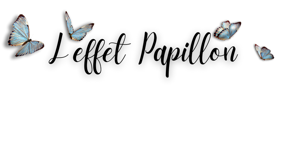 12.png