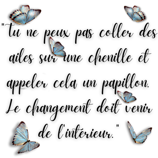 L'effet Papillon-4.png