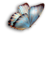 L'effet Papillon-6.png