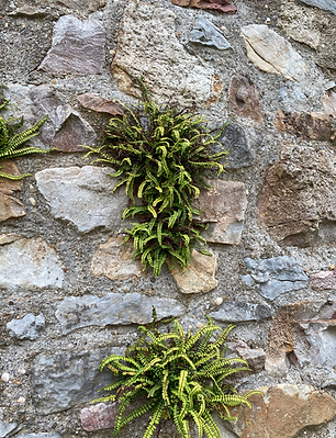 81f6ca38-453d-4456-ad81-152e93ba15b5-1_all_183.heif