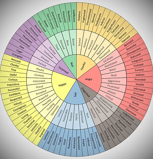 feelings-wheel_edited.jpg