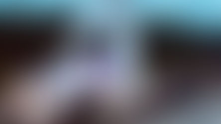 Arrestation après une poursuite en Nouvelle-Écosse: Un camionneur arrêté après une poursuite spectac