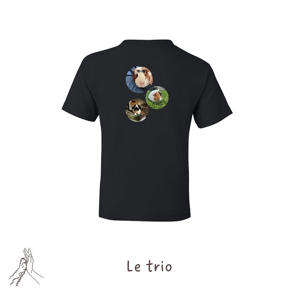 Miniature : 2024 - T-shirt enfant