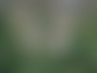 Un investissement stratégique pour la filière batterie : 327,6 millions de dollars pour le Parc indu