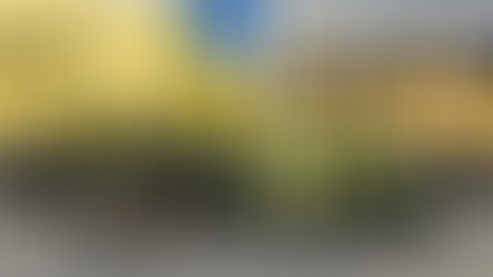 Journée excitante chez Giant Tiger Trucking