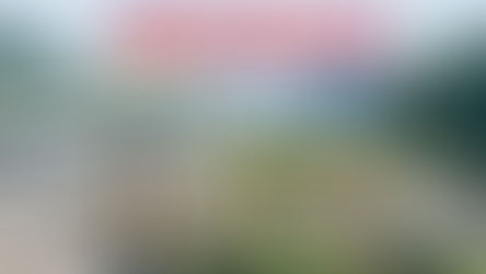 Les travailleurs des coopératives UNISACO et COFOR s’opposent fermement au décret fédéral sur le car