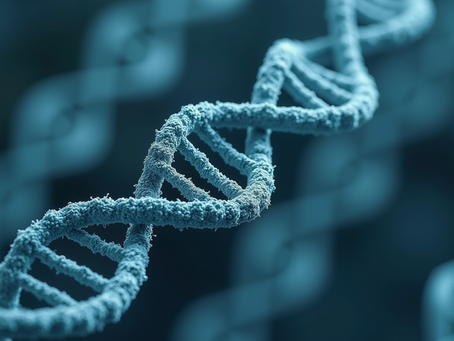 Embracing Our Heritage Understanding the Y Chromosome and Its Impact on Identity and Morality