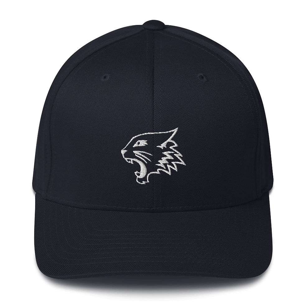 Thumbnail: Wildcats Baseball Cap