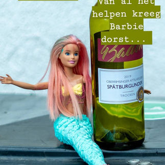 Screenshot Instagram camping gevonden barbie en wijnfles