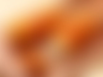 Corn Dog: The Blurry Origin