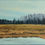 Thumbnail: OL-17 / Mill River / Original Oil Painting