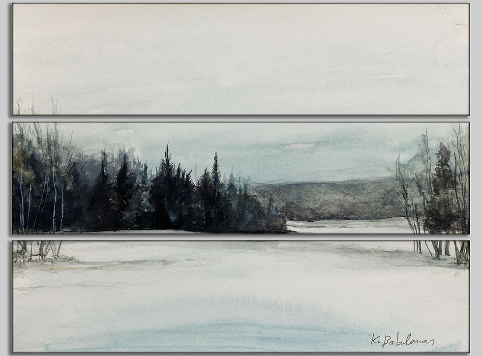 Thumbnail: Canvas Print, Multi Panel 1x3 | WC-17 / 1730 US Hwy 1A, View 2 | K. Batalamas Art